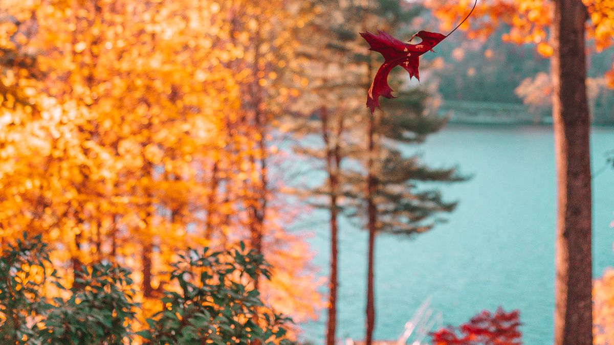 Autumn in Western Connecticut